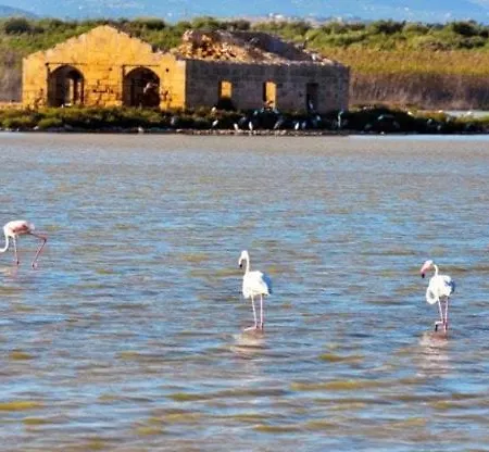Ad Un Passo Dal Barocco Apartment Noto